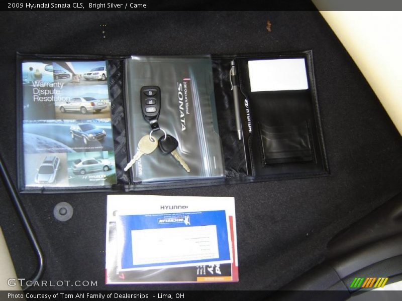 Bright Silver / Camel 2009 Hyundai Sonata GLS
