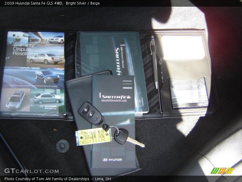 Bright Silver / Beige 2009 Hyundai Santa Fe GLS 4WD
