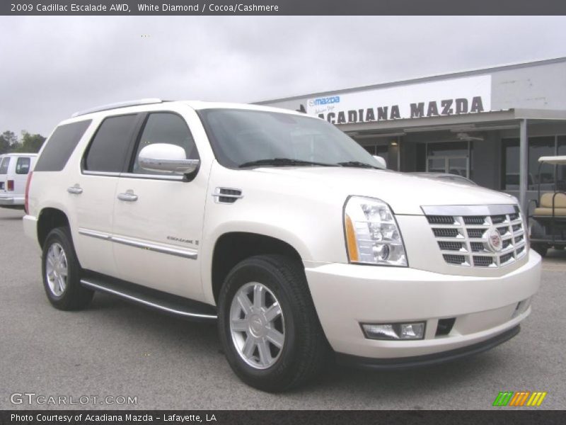 White Diamond / Cocoa/Cashmere 2009 Cadillac Escalade AWD