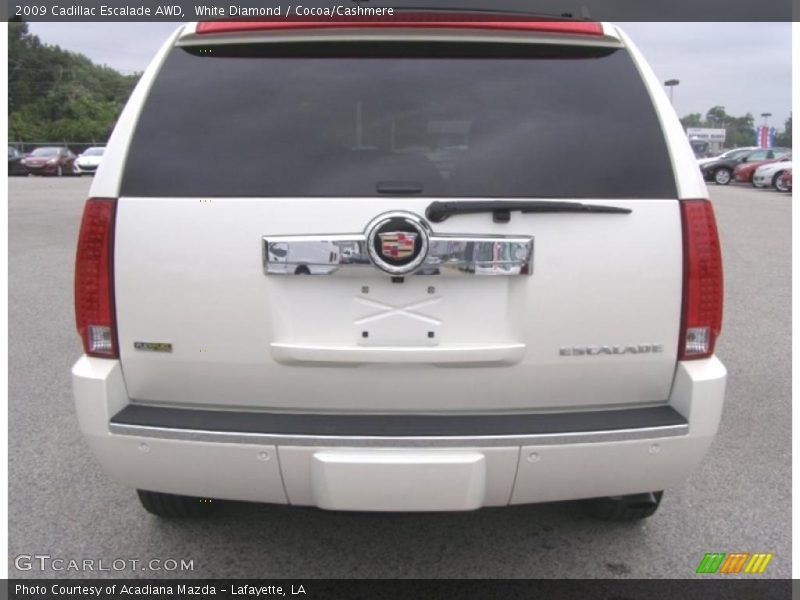 White Diamond / Cocoa/Cashmere 2009 Cadillac Escalade AWD