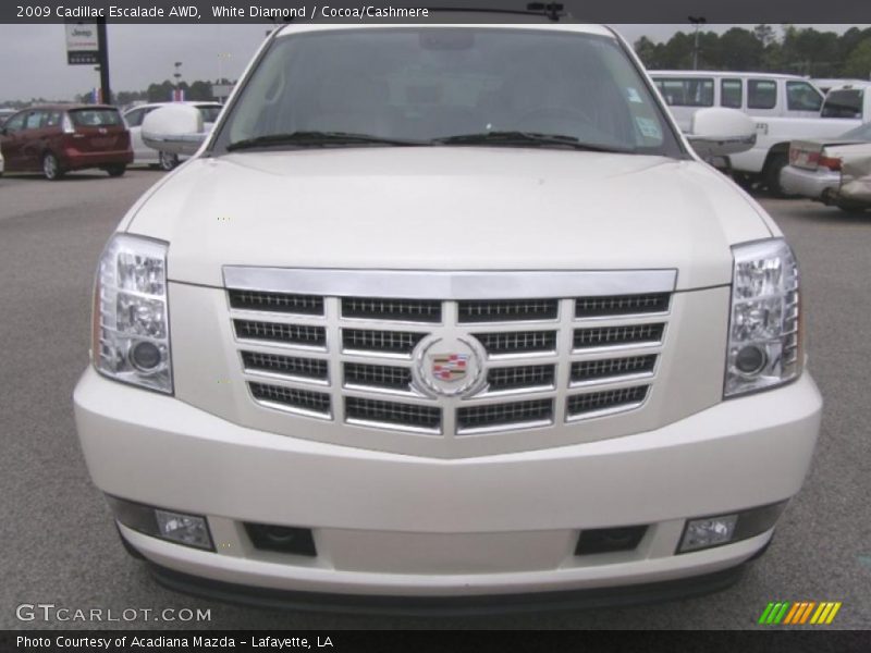 White Diamond / Cocoa/Cashmere 2009 Cadillac Escalade AWD