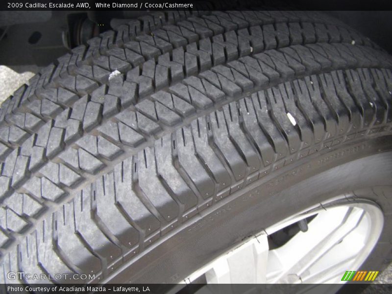 White Diamond / Cocoa/Cashmere 2009 Cadillac Escalade AWD