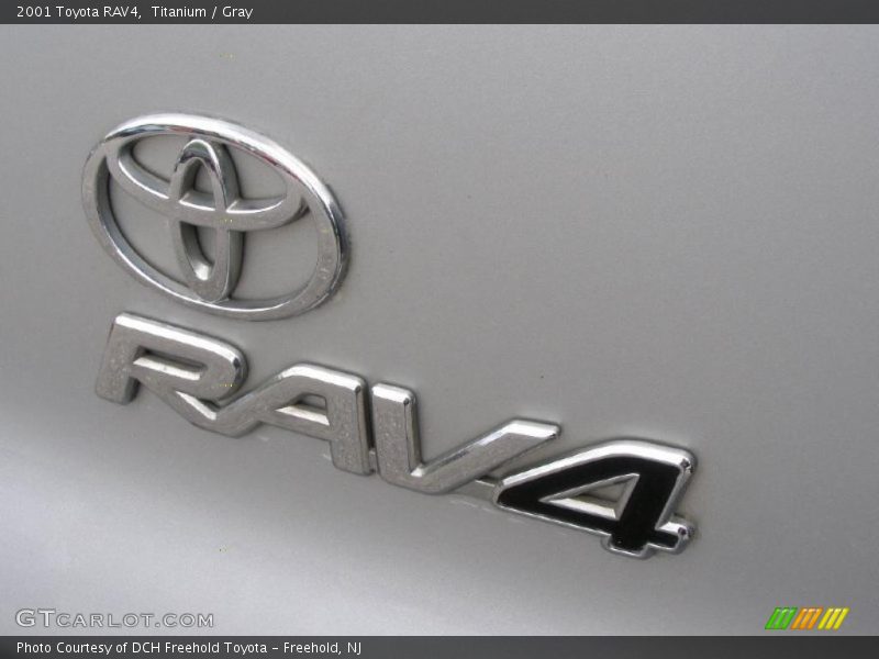 Titanium / Gray 2001 Toyota RAV4