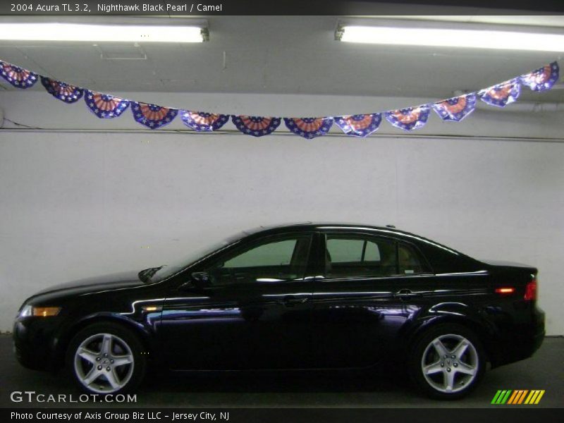 Nighthawk Black Pearl / Camel 2004 Acura TL 3.2