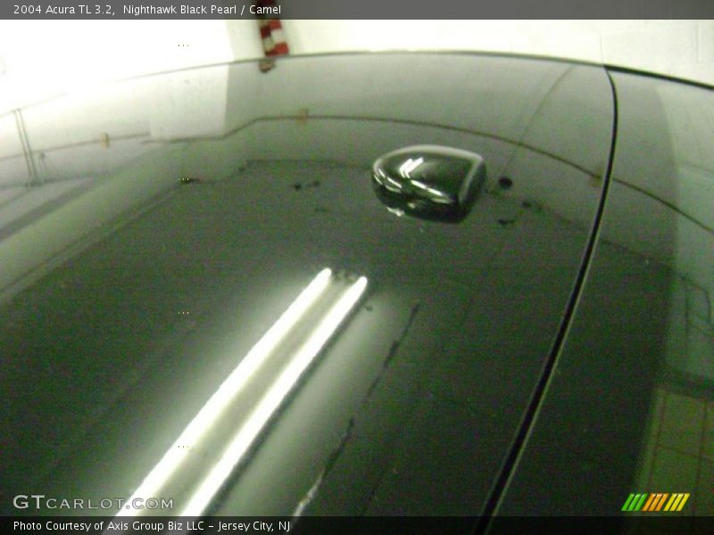 Nighthawk Black Pearl / Camel 2004 Acura TL 3.2
