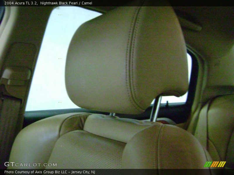 Nighthawk Black Pearl / Camel 2004 Acura TL 3.2