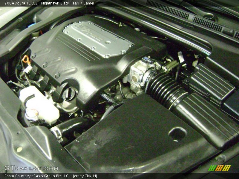 Nighthawk Black Pearl / Camel 2004 Acura TL 3.2
