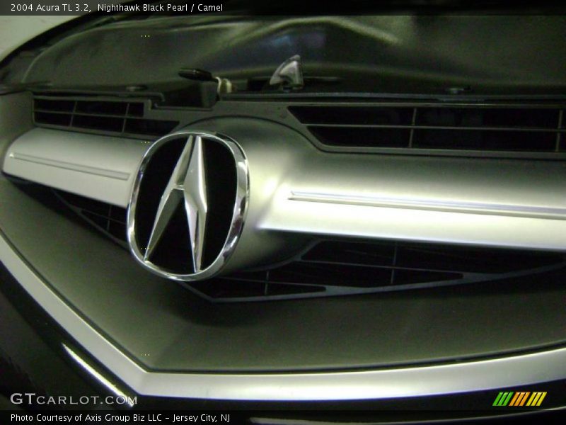 Nighthawk Black Pearl / Camel 2004 Acura TL 3.2