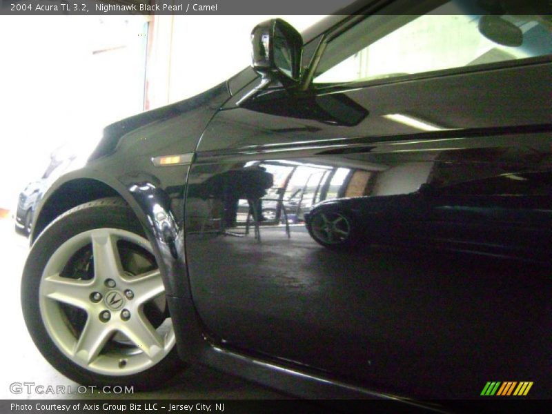 Nighthawk Black Pearl / Camel 2004 Acura TL 3.2