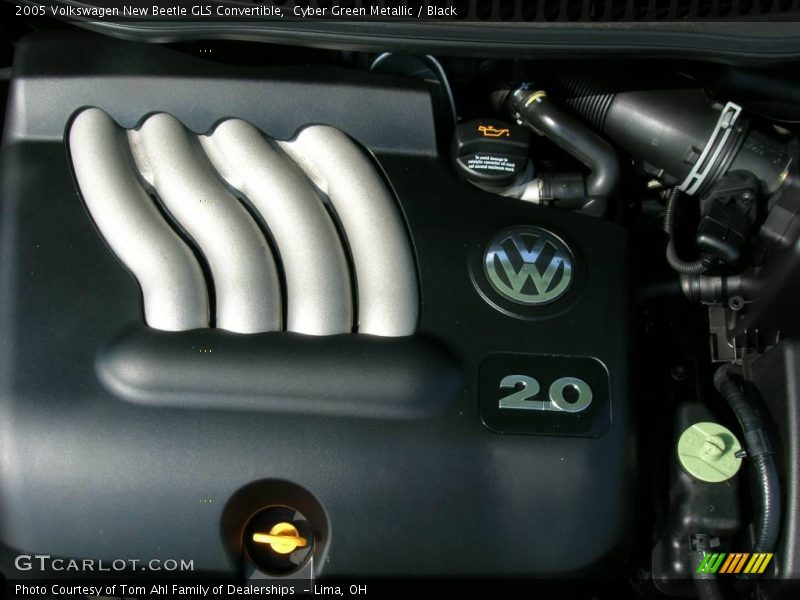 Cyber Green Metallic / Black 2005 Volkswagen New Beetle GLS Convertible