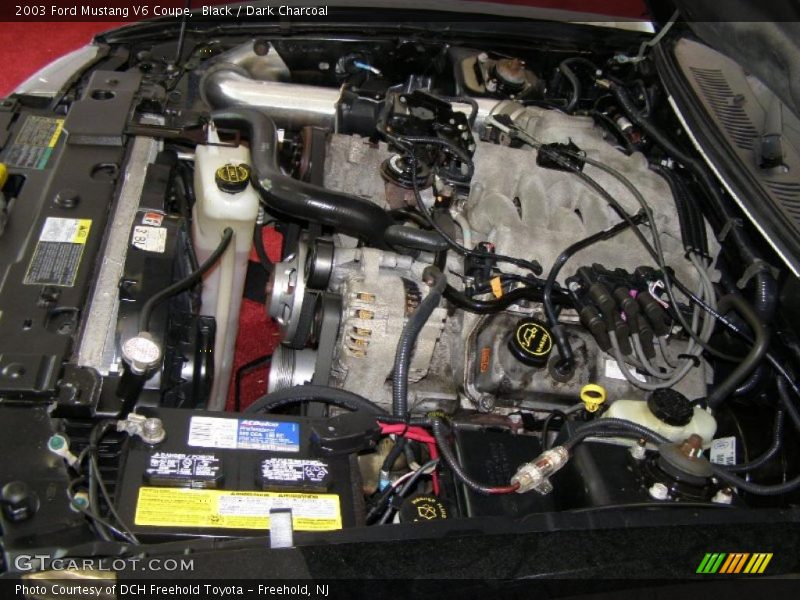Black / Dark Charcoal 2003 Ford Mustang V6 Coupe