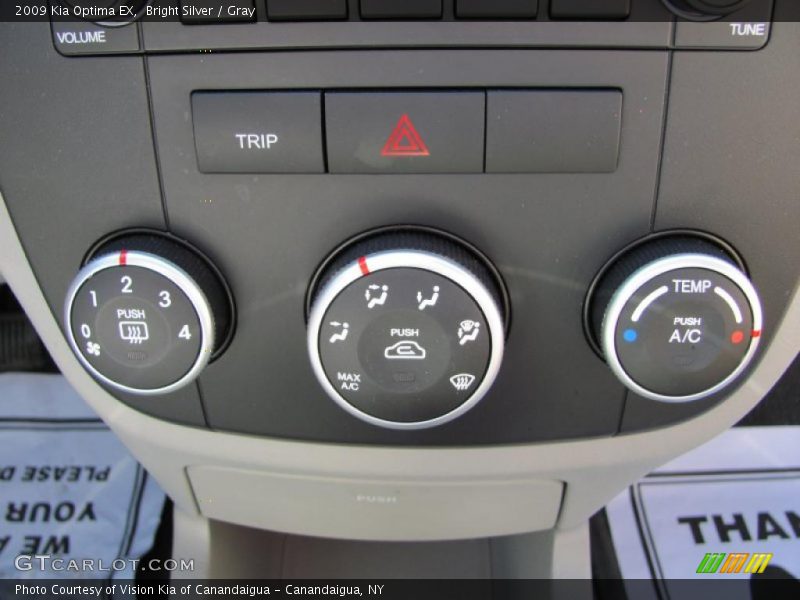 Bright Silver / Gray 2009 Kia Optima EX
