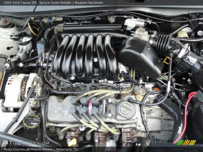 Spruce Green Metallic / Medium Parchment 2003 Ford Taurus SES