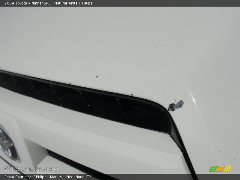 Natural White / Taupe 2004 Toyota 4Runner SR5
