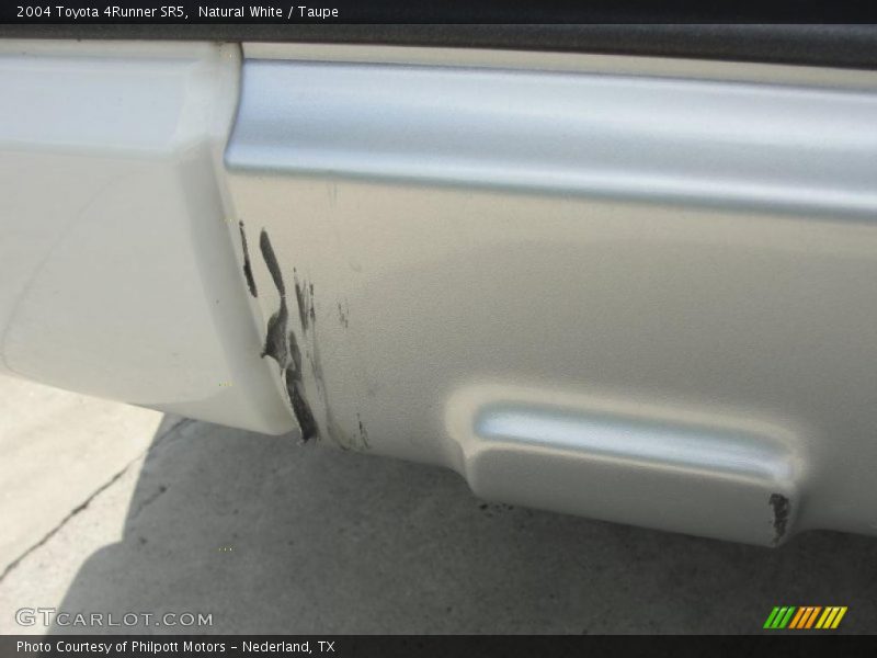 Natural White / Taupe 2004 Toyota 4Runner SR5