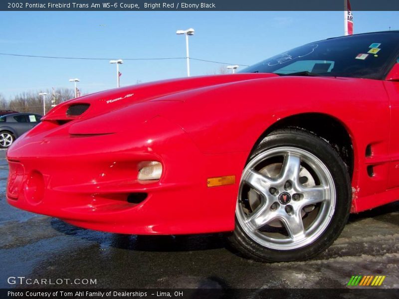 Bright Red / Ebony Black 2002 Pontiac Firebird Trans Am WS-6 Coupe