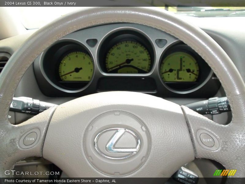 Black Onyx / Ivory 2004 Lexus GS 300