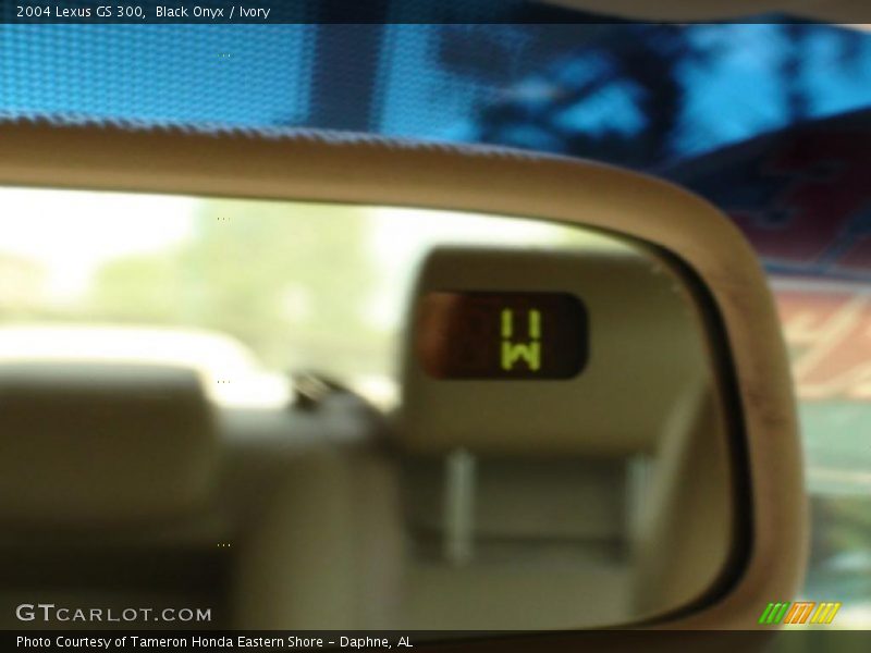 Black Onyx / Ivory 2004 Lexus GS 300
