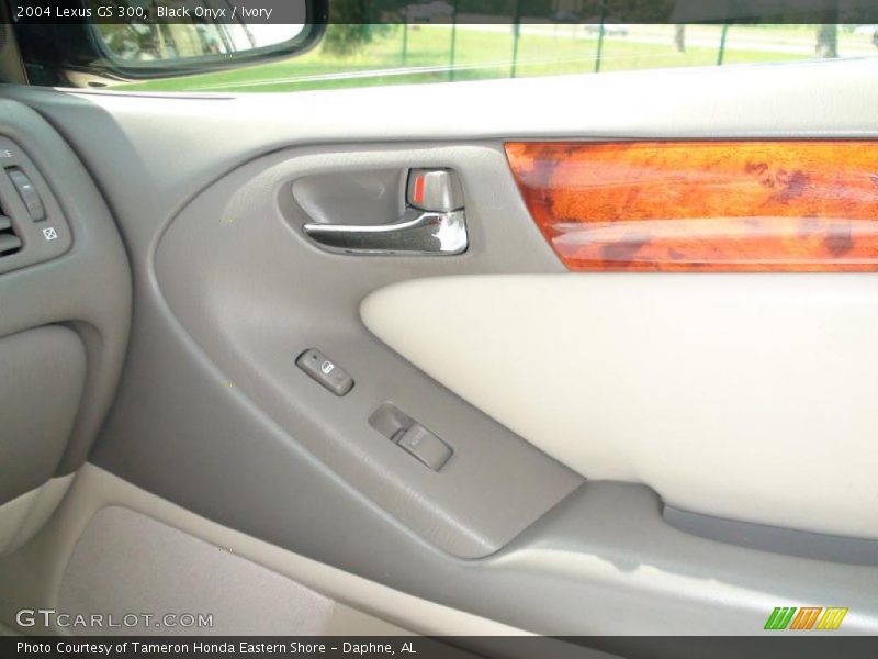 Black Onyx / Ivory 2004 Lexus GS 300