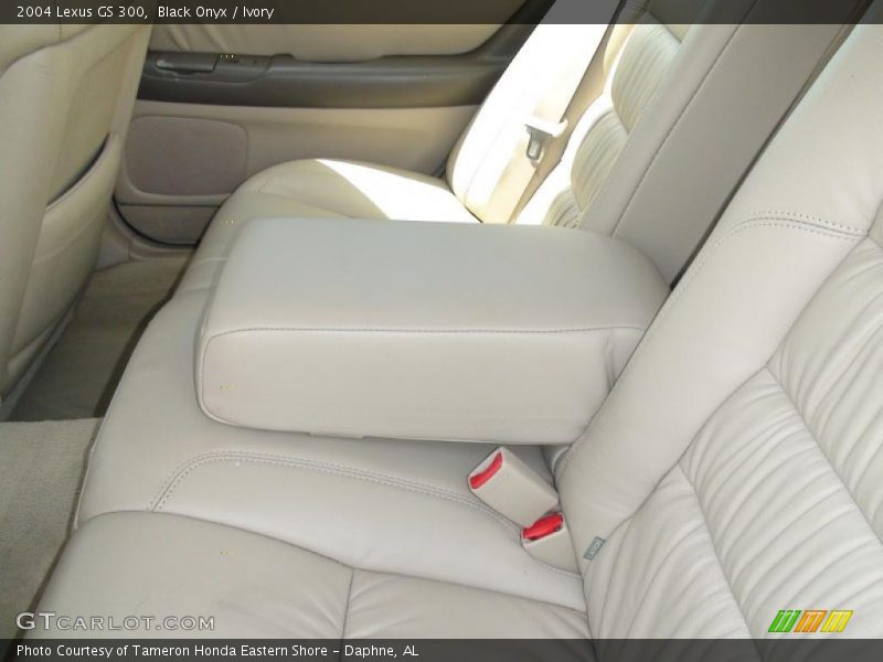 Black Onyx / Ivory 2004 Lexus GS 300