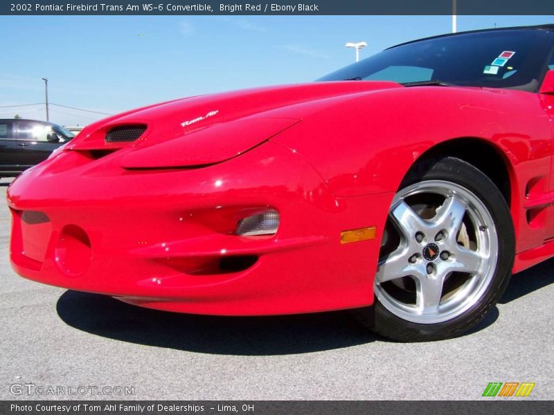 Bright Red / Ebony Black 2002 Pontiac Firebird Trans Am WS-6 Convertible