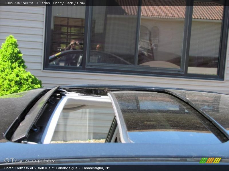 Ebony Black / Gray 2009 Kia Spectra EX Sedan