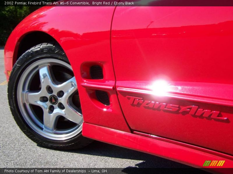 Bright Red / Ebony Black 2002 Pontiac Firebird Trans Am WS-6 Convertible
