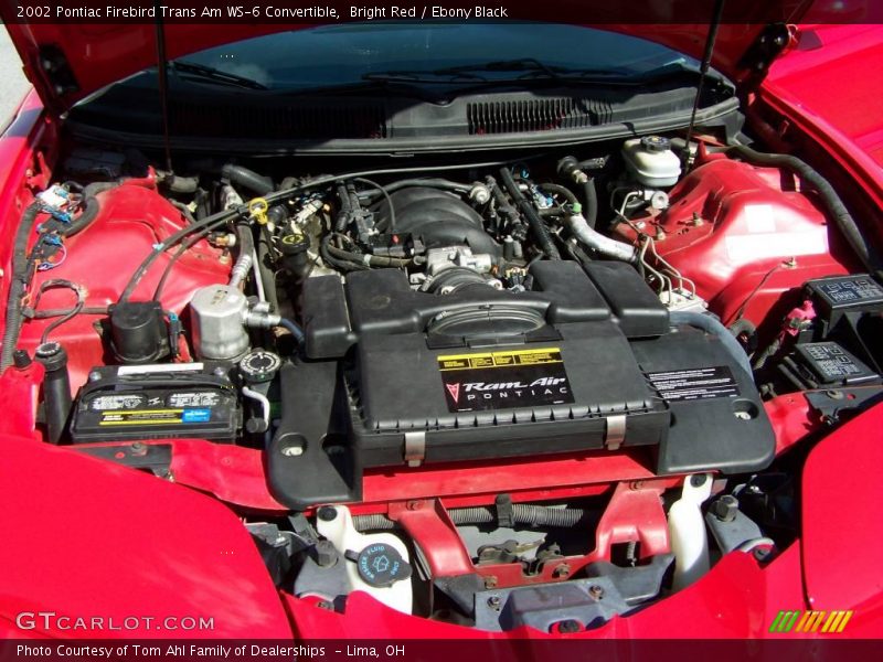 Bright Red / Ebony Black 2002 Pontiac Firebird Trans Am WS-6 Convertible