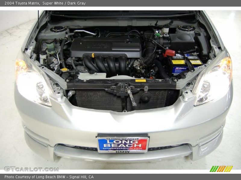 Super White / Dark Gray 2004 Toyota Matrix