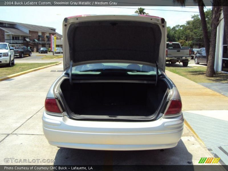 Steelmist Gray Metallic / Medium Gray 2004 Buick LeSabre Custom