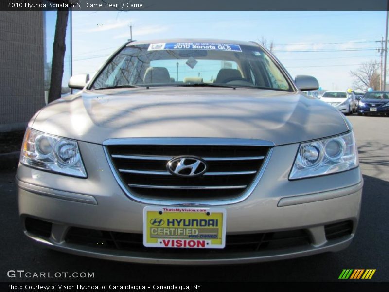 Camel Pearl / Camel 2010 Hyundai Sonata GLS