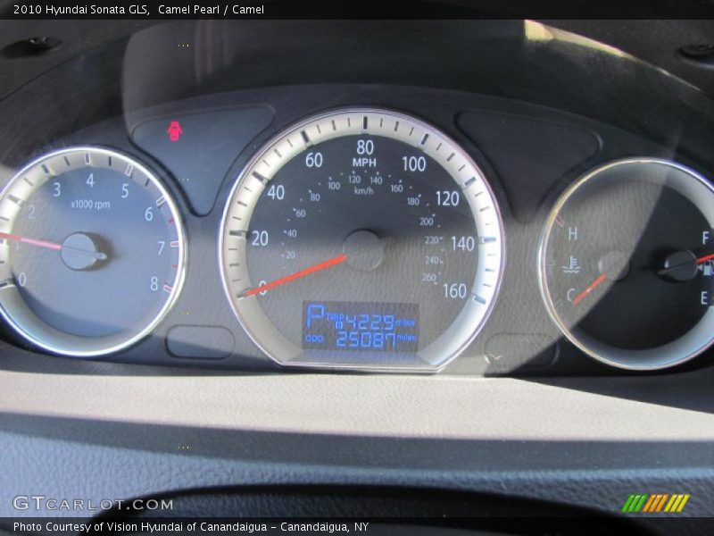 Camel Pearl / Camel 2010 Hyundai Sonata GLS