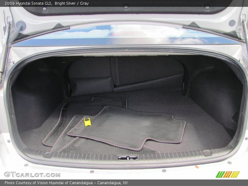 Bright Silver / Gray 2009 Hyundai Sonata GLS