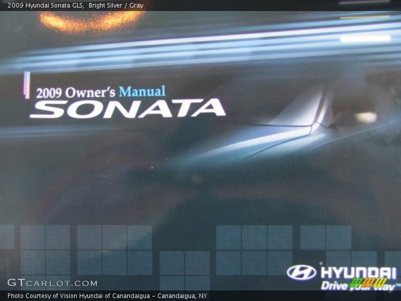 Bright Silver / Gray 2009 Hyundai Sonata GLS