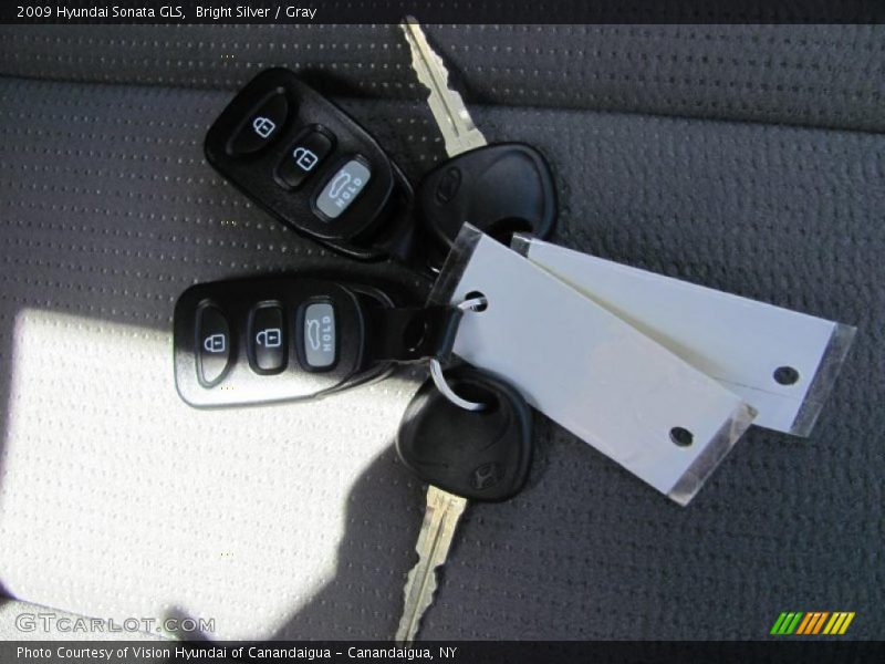 Bright Silver / Gray 2009 Hyundai Sonata GLS