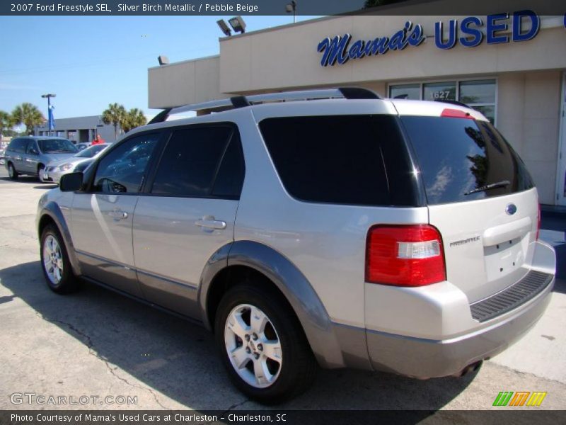 Silver Birch Metallic / Pebble Beige 2007 Ford Freestyle SEL