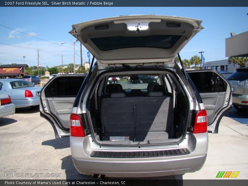 Silver Birch Metallic / Pebble Beige 2007 Ford Freestyle SEL