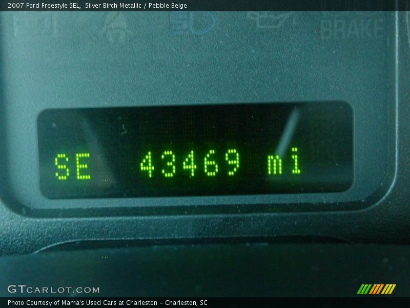 Silver Birch Metallic / Pebble Beige 2007 Ford Freestyle SEL