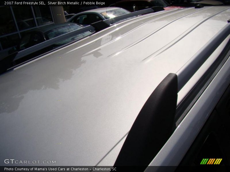 Silver Birch Metallic / Pebble Beige 2007 Ford Freestyle SEL