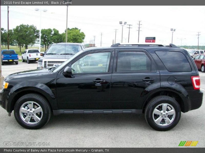 Black / Camel 2010 Ford Escape Limited V6