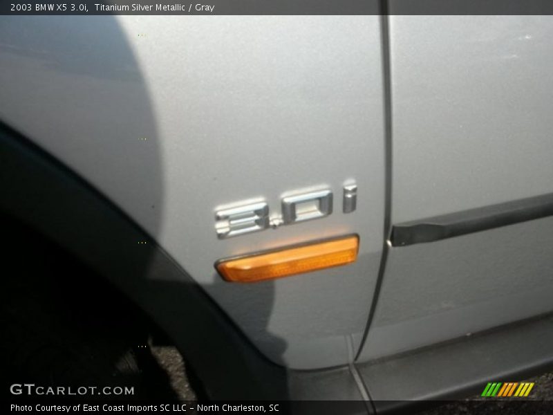 Titanium Silver Metallic / Gray 2003 BMW X5 3.0i