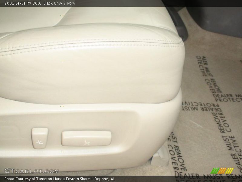 Black Onyx / Ivory 2001 Lexus RX 300