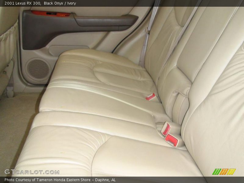 Black Onyx / Ivory 2001 Lexus RX 300