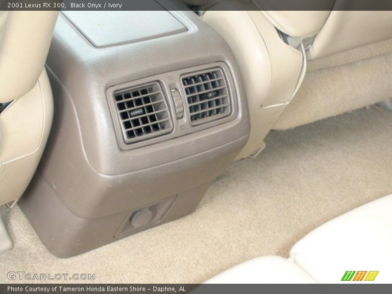 Black Onyx / Ivory 2001 Lexus RX 300