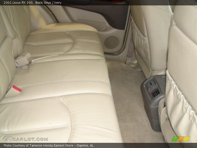 Black Onyx / Ivory 2001 Lexus RX 300