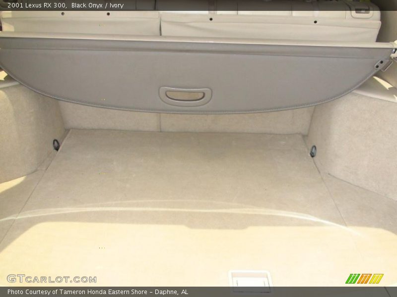 Black Onyx / Ivory 2001 Lexus RX 300