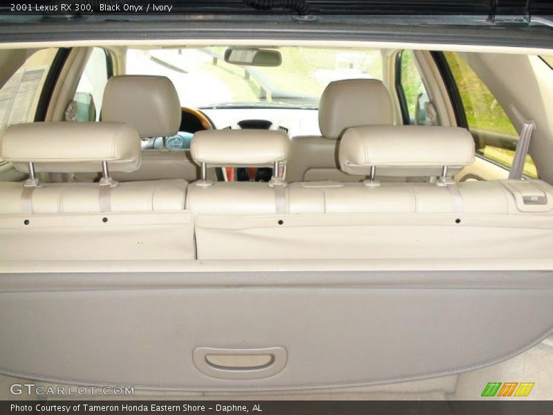 Black Onyx / Ivory 2001 Lexus RX 300
