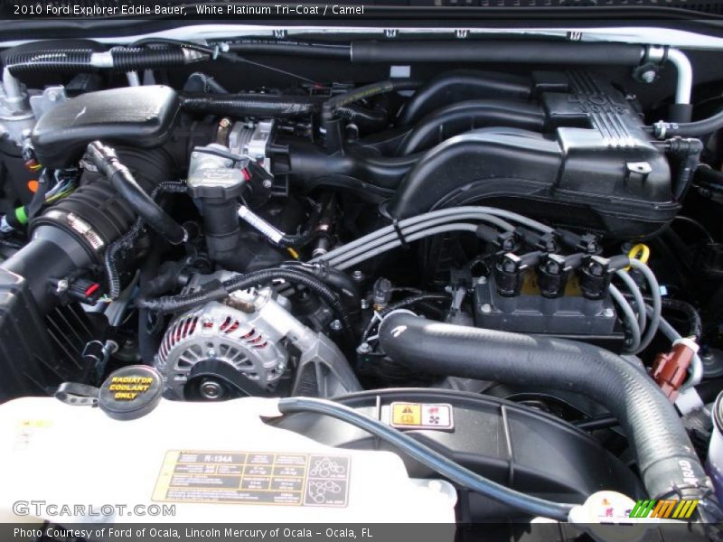 White Platinum Tri-Coat / Camel 2010 Ford Explorer Eddie Bauer