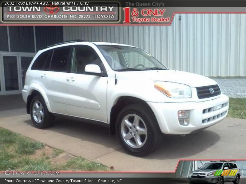Natural White / Gray 2002 Toyota RAV4 4WD