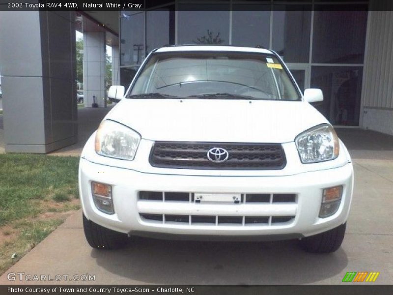 Natural White / Gray 2002 Toyota RAV4 4WD